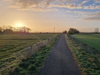 Der Morgen im Wangerland
