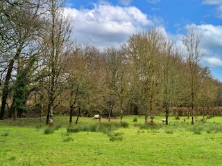 Holiday cottage Dolton Environment 24