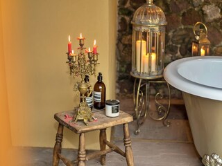Cottage Llandovery  28