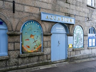Vakantiehuis Fowey Buitenaudio-opname 4