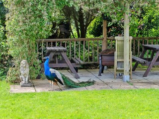 Casa vacanze Ilfracombe Registrazione all'aperto 4