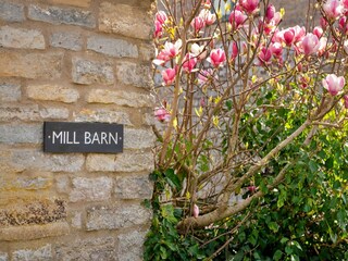 Cottage Castle Cary  24