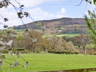 Casa vacanze Ruthin Registrazione all'aperto 12