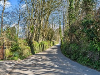 Vakantiehuis Camelford Omgeving 23