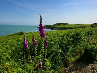 Bungalow Pwllheli Environment 21