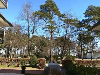 View from the terrace
