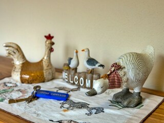 Holiday cottage Poundstock  29