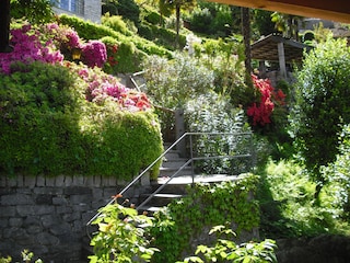 Blick von Terrasse auf Carport und Eingang