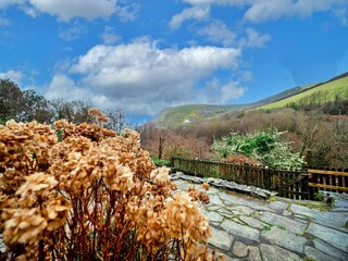 Holiday cottage Poundstock Environment 25
