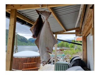 Ferienhaus Syvde Außenaufnahme 16