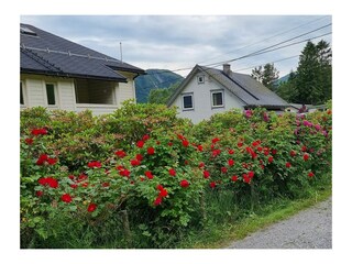 Ferienhaus Syvde Außenaufnahme 2