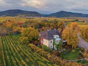 Holiday apartment Country house Messerschmitt - Böchingen - image1