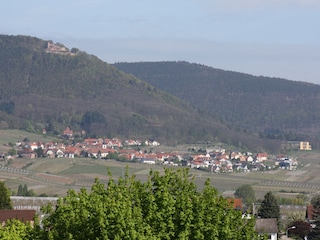 Ausblick von Ihrer Dachterasse auf Rietburg&Ludwigshöhe