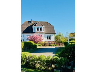 Blick im Frühling