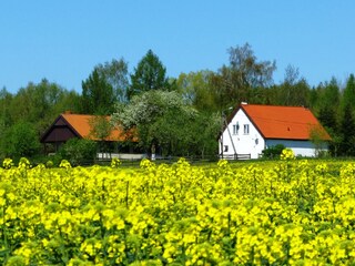 Ferienhaus und Nebengebäude im Frühling