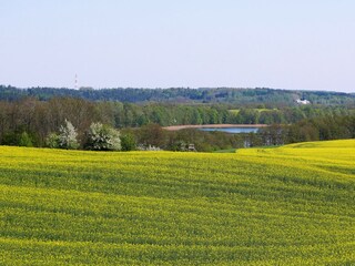 Blick von der Terrasse zum See im Frühling