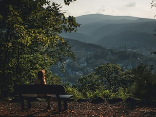 Natur im Harz
