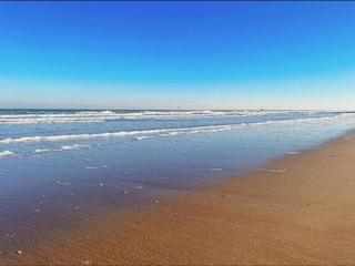 Apartment Knokke-Heist Environment 35