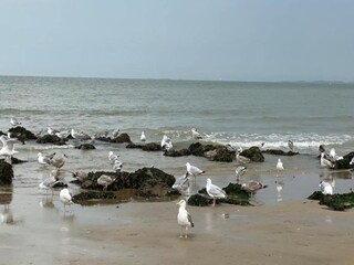 Apartamento Knokke-Heist Entorno 11