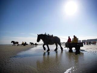 Appartement Nieuwpoort Omgeving 32