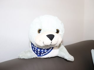 Wohnung Seehund Maskottchen