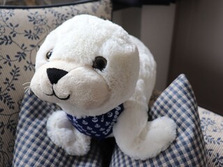 Wohnung Muschel Maskottchen