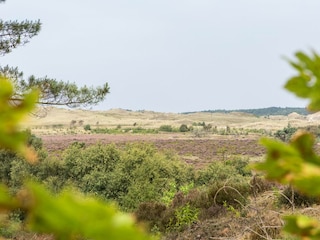 Vakantiepark Julianadorp Omgeving 22