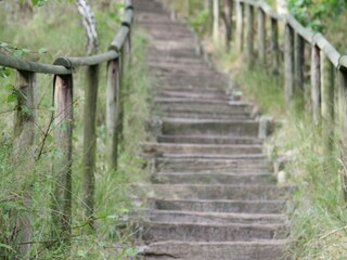 Vakantiepark Schoorl Omgeving 12