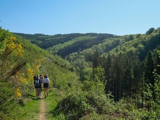 Casa per le vacanze La Roche-en-Ardenne Ambiente 45