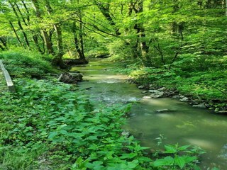Vakantiehuis Somme-Leuze Omgeving 36