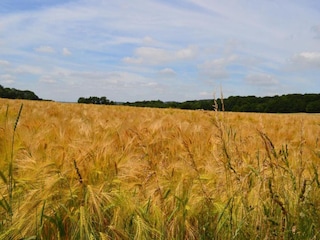 Casa per le vacanze Somme-Leuze Ambiente 27