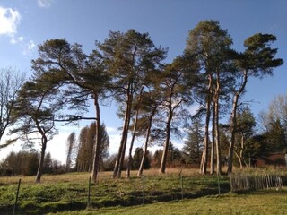Parc de vacances Barvaux-sur-Ourthe Environnement 15