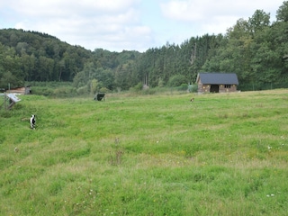 Parc de vacances Somme-Leuze  37
