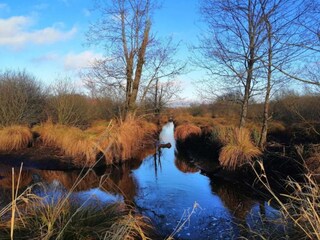 Holiday park Somme-Leuze Environment 24