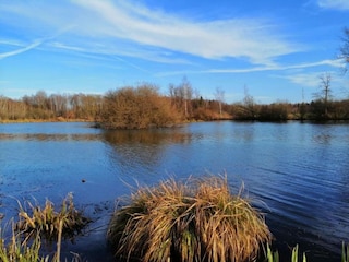 Holiday park Somme-Leuze Environment 30