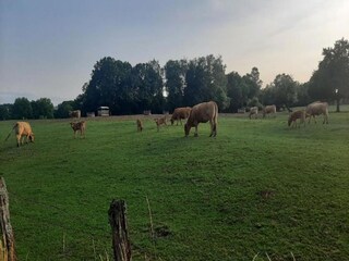 Parc de vacances Somme-Leuze Environnement 32