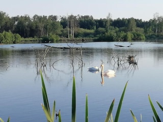 Holiday park Somme-Leuze Environment 34