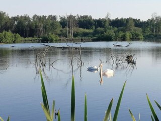 Parc de vacances Somme-Leuze Environnement 35
