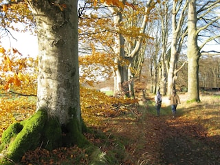 Vakantiehuis Somme-Leuze Omgeving 24