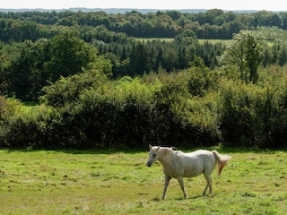 Bungalow Somme-Leuze Omgeving 37