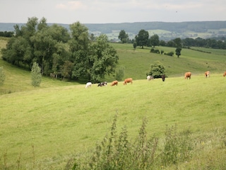 Holiday house Somme-Leuze Environment 24