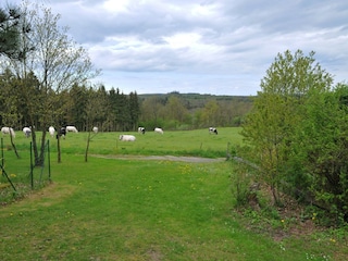 Ferienhaus Houyet Außenaufnahme 4