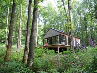 Holiday house Viroinval Outdoor Recording 3
