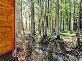 Parc de vacances Viroinval Environnement 15