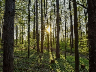 Parc de vacances Viroinval Environnement 17
