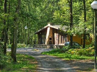 Vakantiehuis Viroinval Buitenaudio-opname 2
