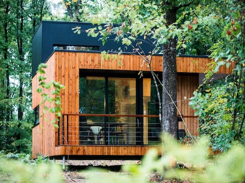 Öko-Ferienhaus in Viroinval in der Natur