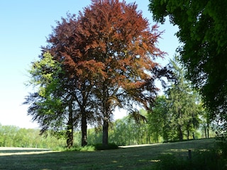 Holiday house Houffalize Environment 13