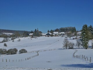 Holiday park Vielsalm Environment 32