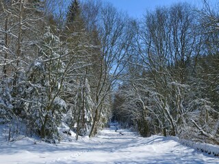 Vakantiepark Vielsalm Omgeving 18